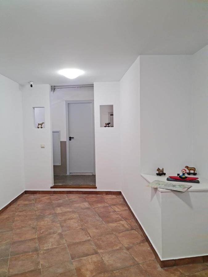 Appartamento Ca La Nuria La Seu d'Urgell Esterno foto